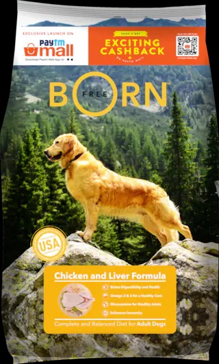 India Desire : Buy Bornfree Adult Dog Food , 1.2kg At Rs 48 From Paytmmall